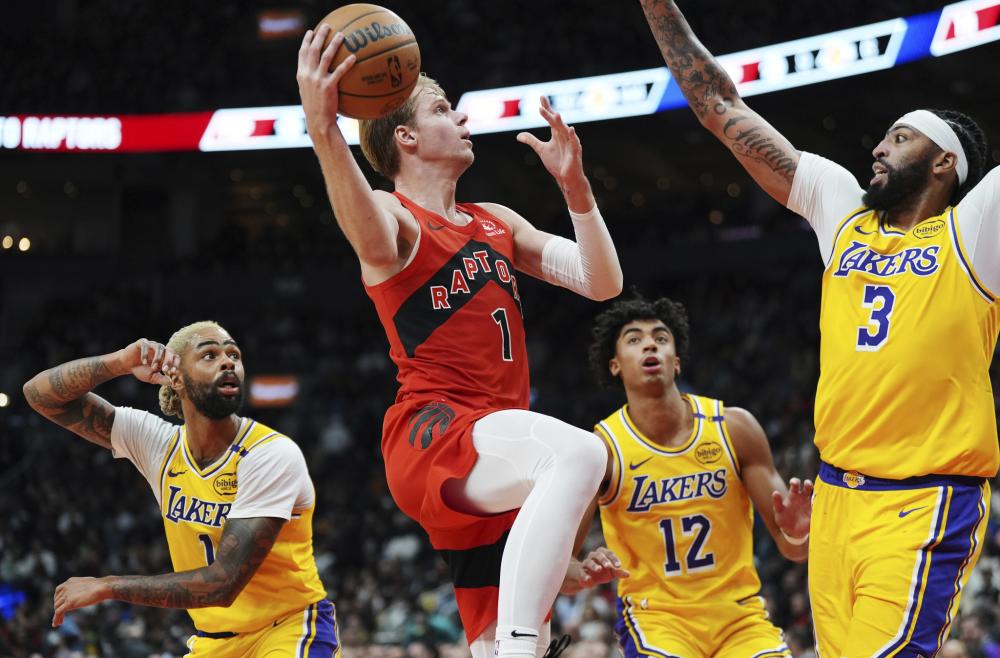 我们可以看 我们可以看